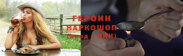 гидра Чегем