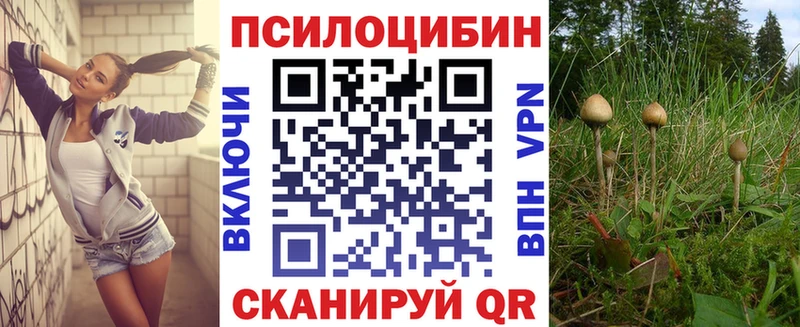 Псилоцибиновые грибы Psilocybe  Олёкминск 